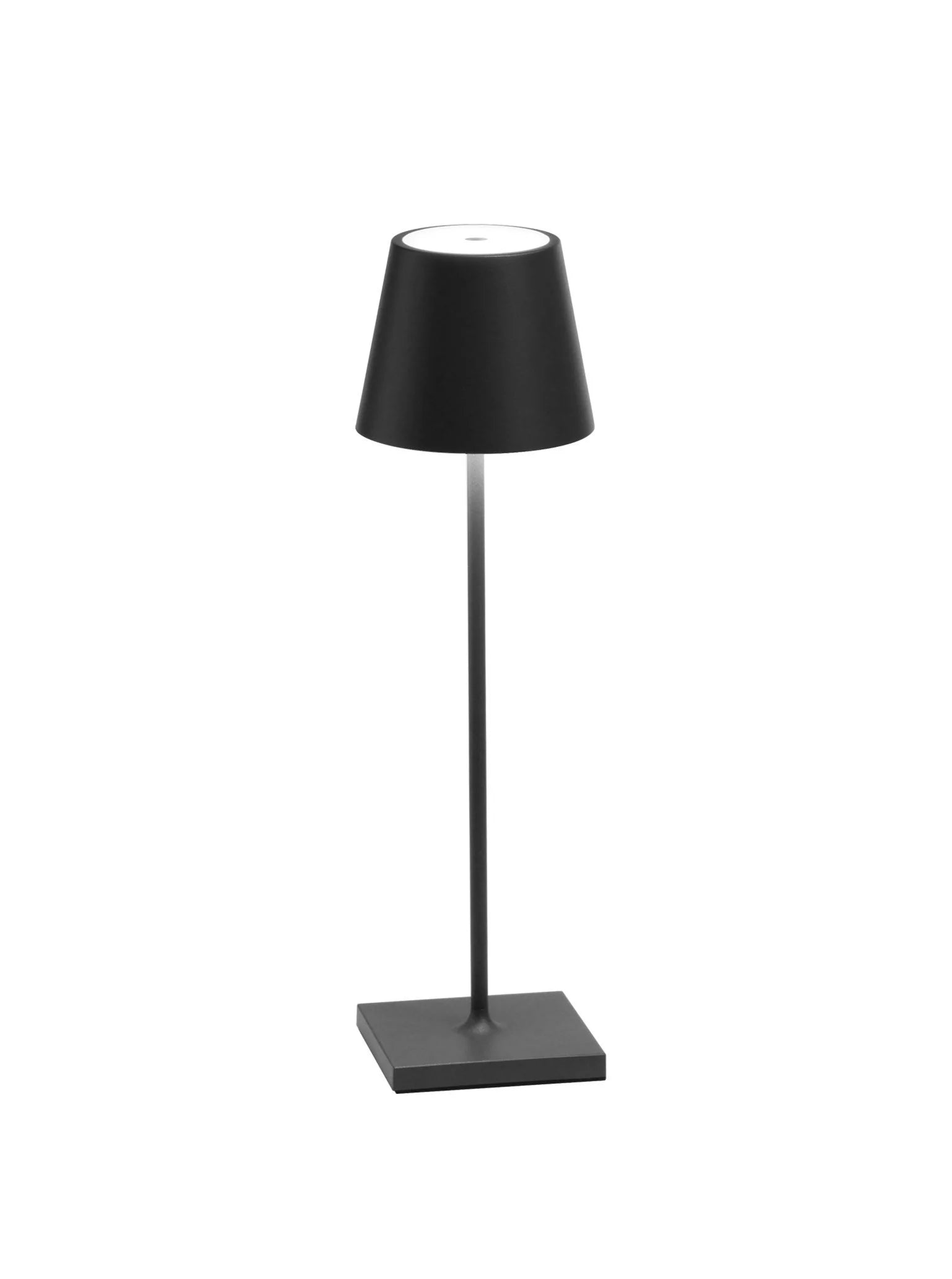 Roux vertaler straf MP POLDINA - LED USB Rechargeable Cordless Table Lamp – Wanderlustre