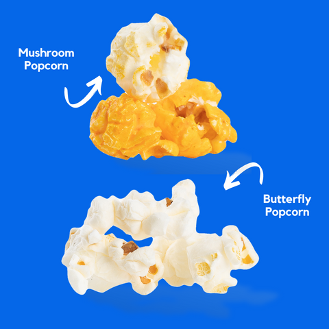 Mushroom Butterfly Popcorn