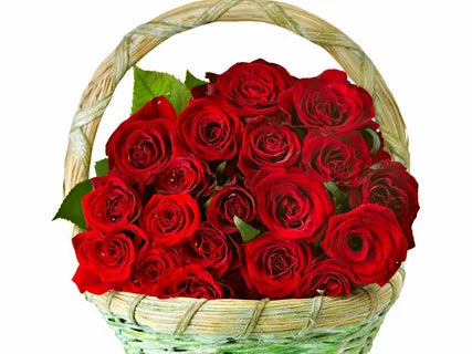 Gifts to Pakistan from UAE