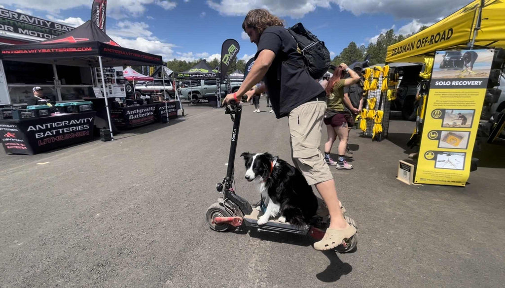 electric scooter with seat