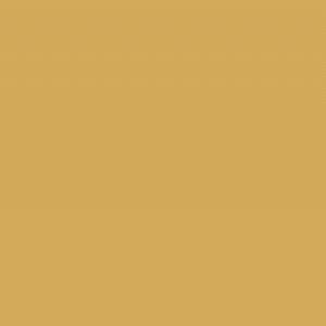 RAL1001_BEIGE_grande