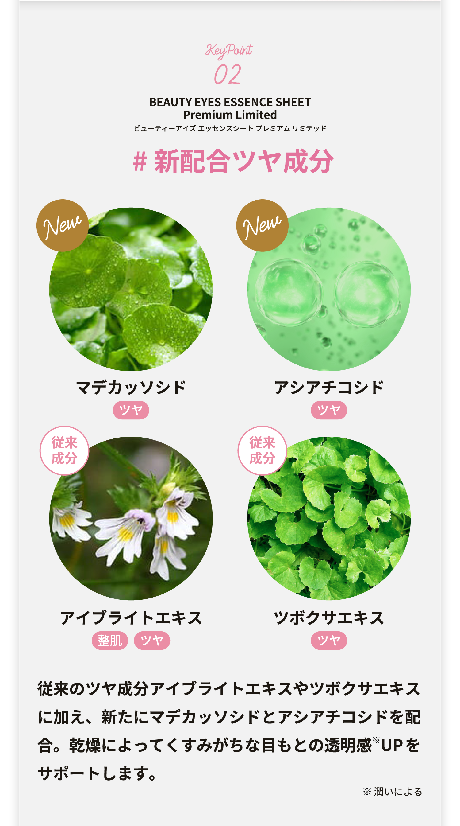 KeyPoint02 BEAUTY EYES ESSENCE SHEET Premium Limited ビューティーアイズ エッセンスシート プレミアム リミテッド #新配合ツヤ成分 New マデカッソシド ツヤ New アシアチコシド ツヤ 従来成分 アイブライトエキス 整肌 ツヤ従来成分 ツボクサエキス ツヤ 従来のツヤ成分アイブライトエキスやツボクサエキスに加え、新たにマデカッソシドとアシアチコシドを配合。乾燥によってくすみがちな目もとの透明感*UPをサポートします。 *潤いによる