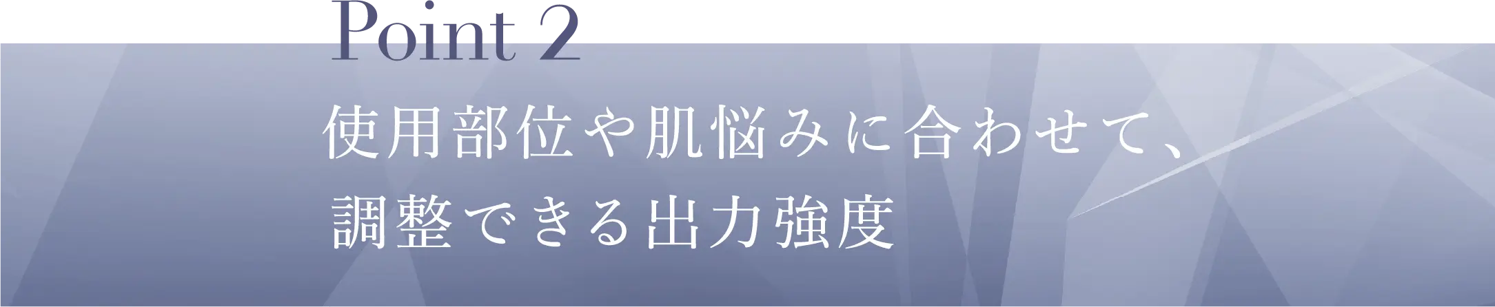 Point2 使用部位や肌悩みに合わせて、調整できる出力強度​​