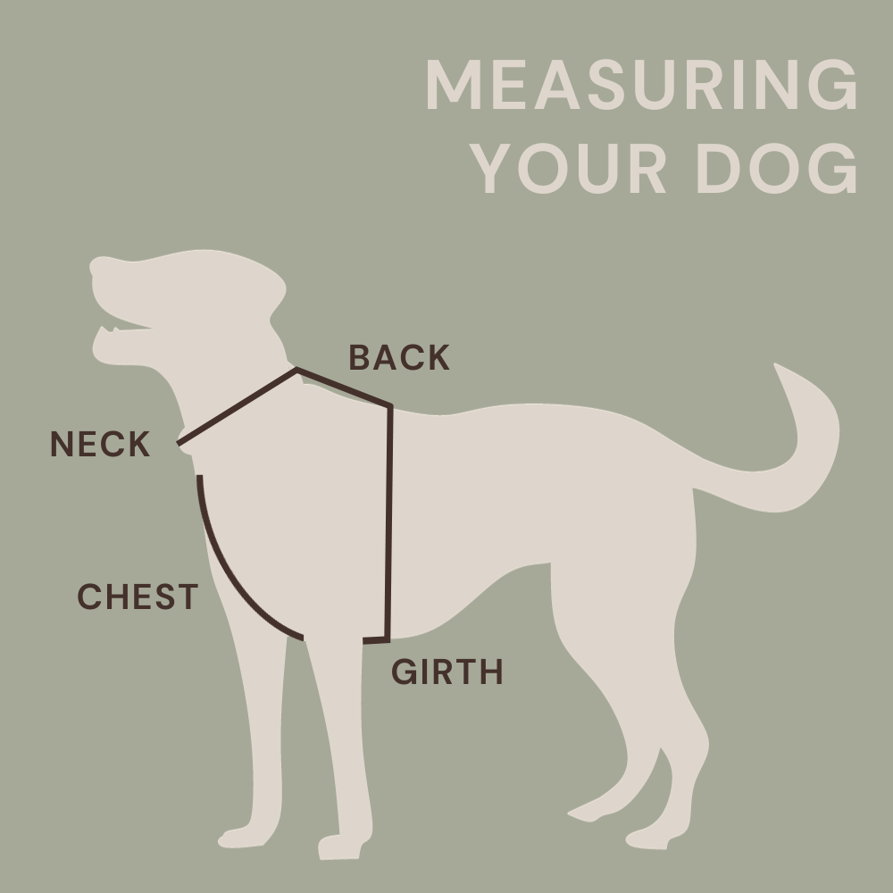 Measuring your dog grahic