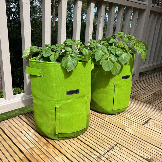 Buy Wholesale China 3 Size Felt Plant Grow Bags Nonwoven Fabric Garden  Potato Pot Greenhouse Vegetable Growing Bags & Grow Bag at USD 0.48