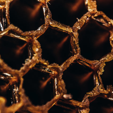Real honeycomb