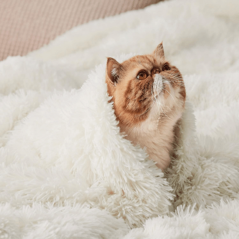 Bedsure Faux Fur Throw