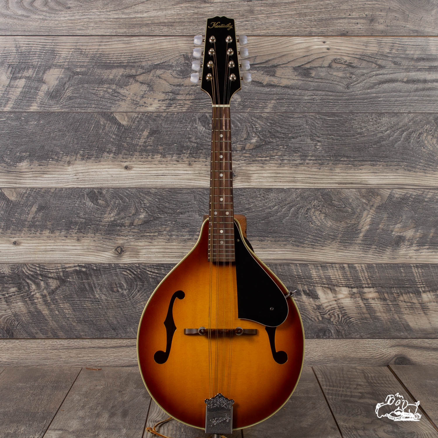 kentucky mandolin km 160