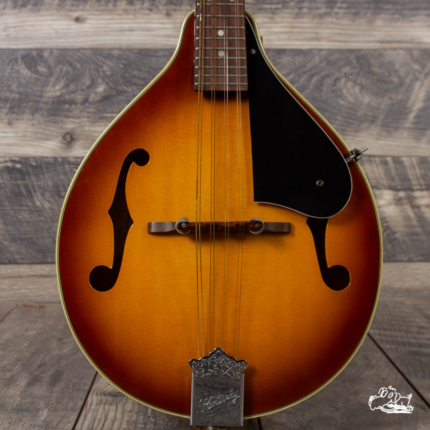 kentucky mandolin 160