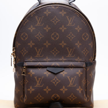 Louis Vuitton Palm Springs PM Backpack – Shop with Stevi