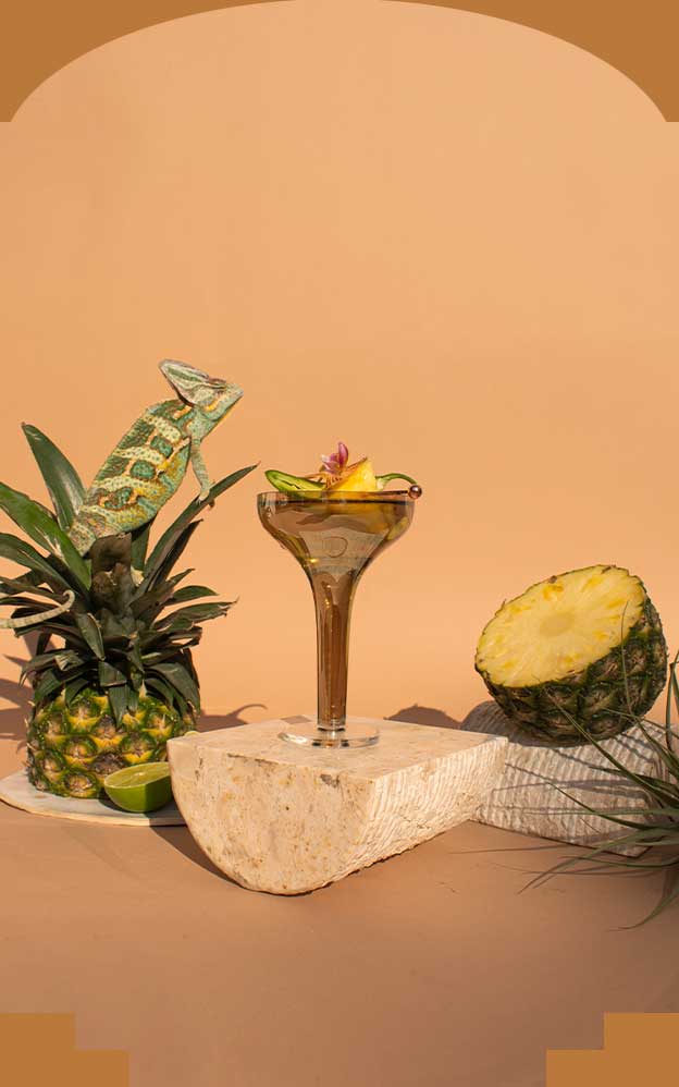 Coco Anejo Cocktail Image
