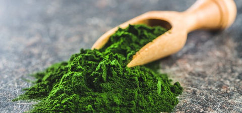 Chlorella-Benefits-Uses-Dosage-and-Nutrition-Facts-1