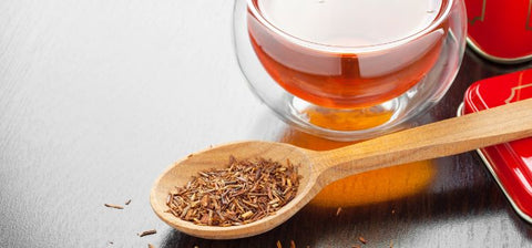 Honeybush-Tea-Health-Benefits-2