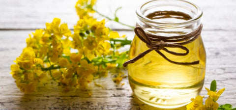 Is-Canola-Oil-Really-a-Healthy-Cooking-Oil-1