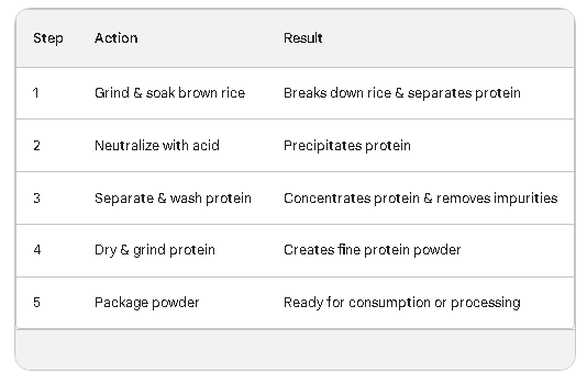 What is rice protein made of