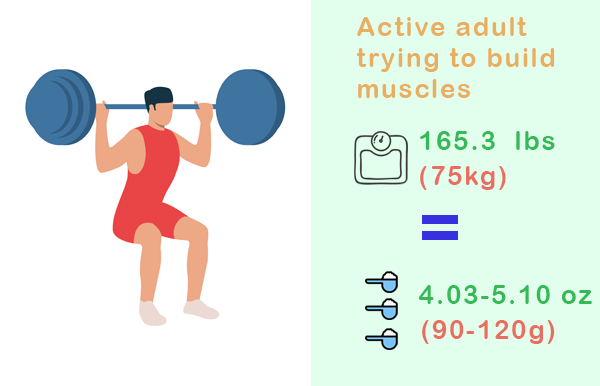 protein intake - active adult trying to build muscles infographic