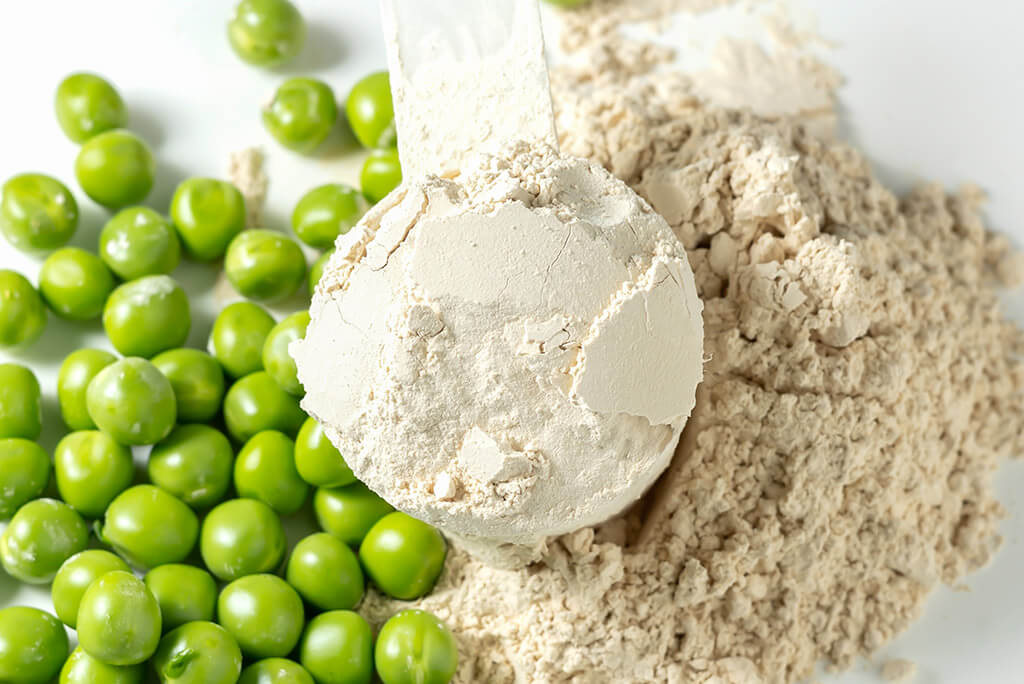 pea protein powder