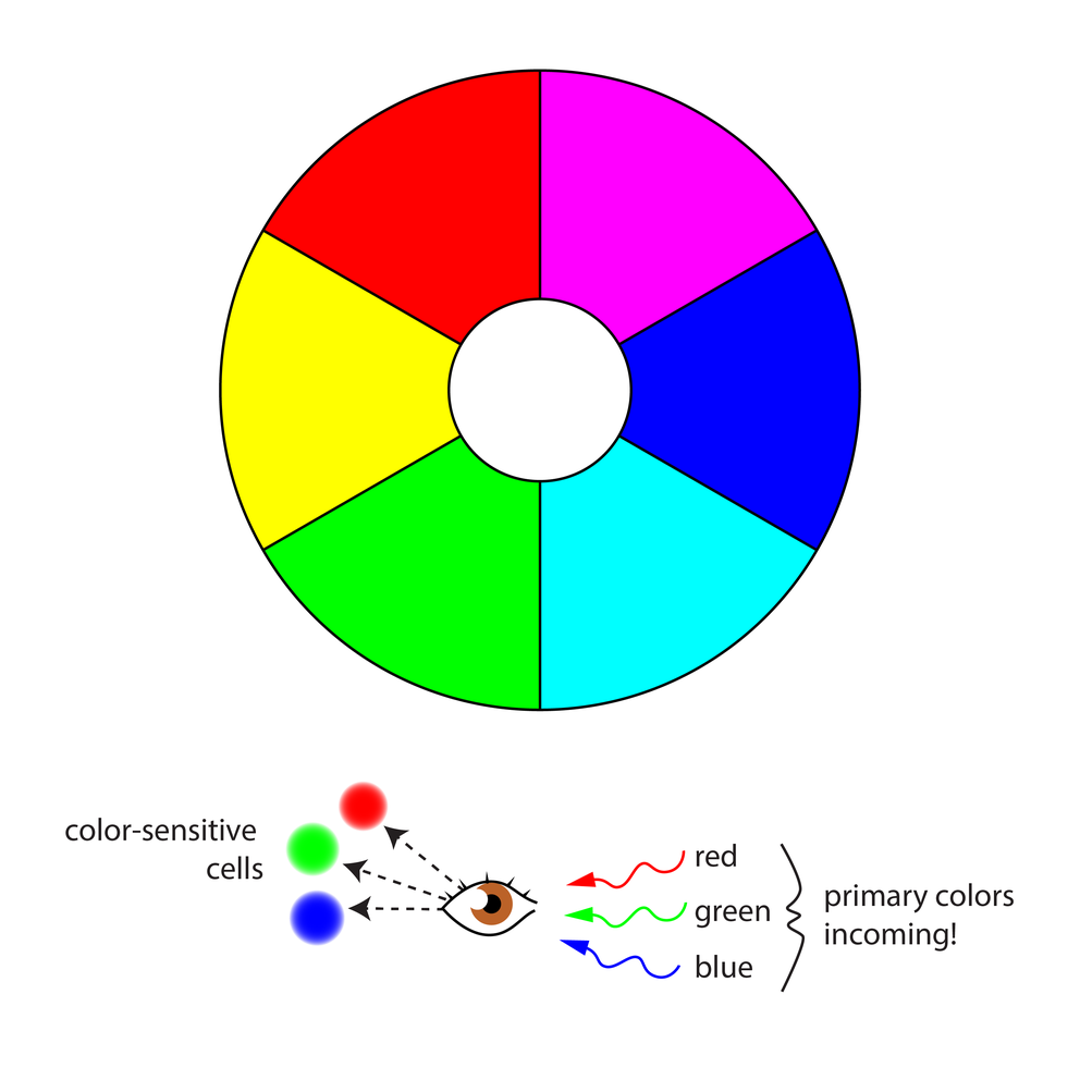 A RGB color wheel showing the primary colors 