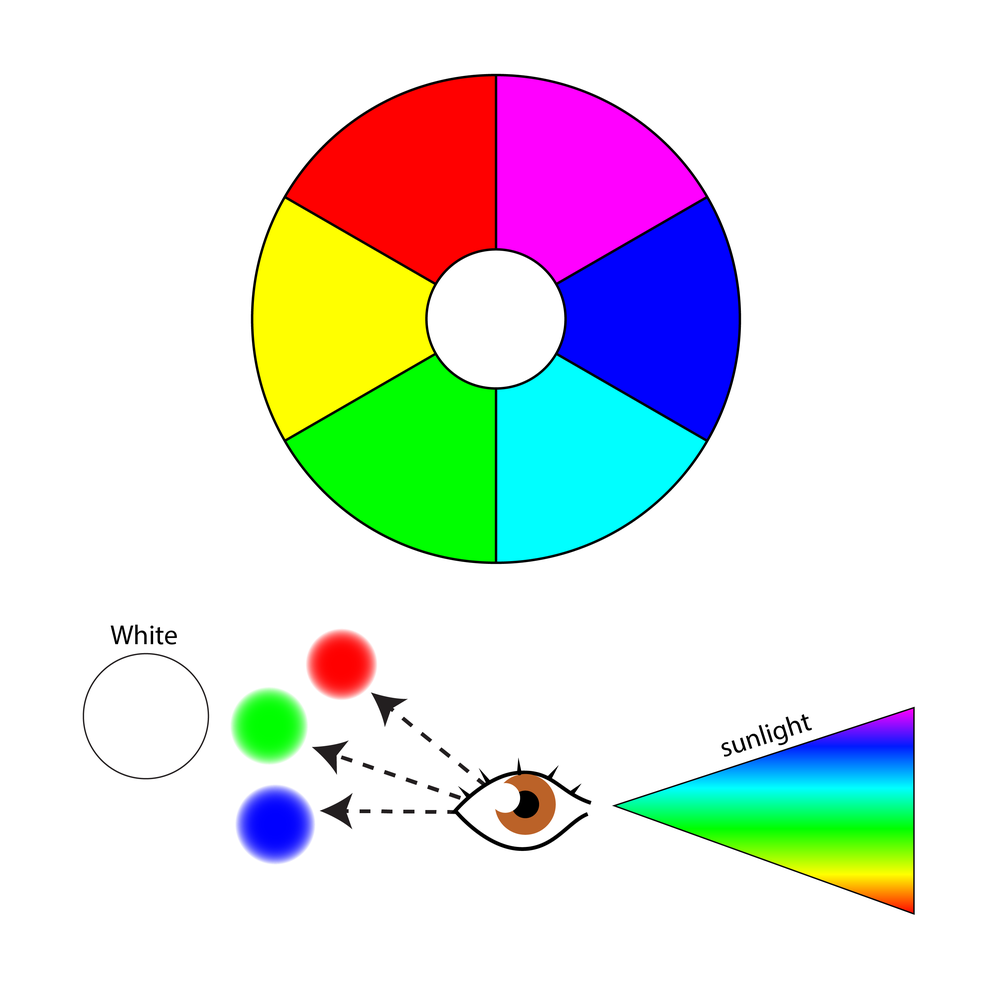 A RGB color wheel showing white is created when all colors are mixed 
