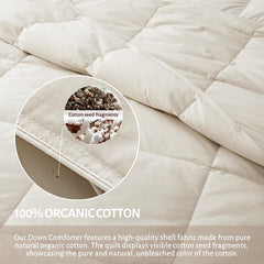 Lightweight Organic Cotton Feather Down Comforter