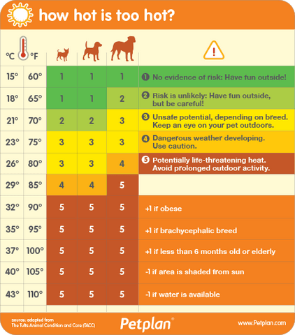 Temperature Guide By Dog Size