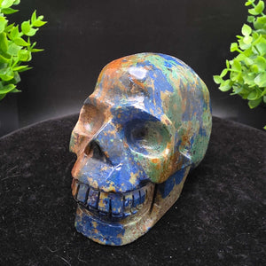 Azurite Malachite Skull Carving - 3.75in - Desert Oasis Minerals