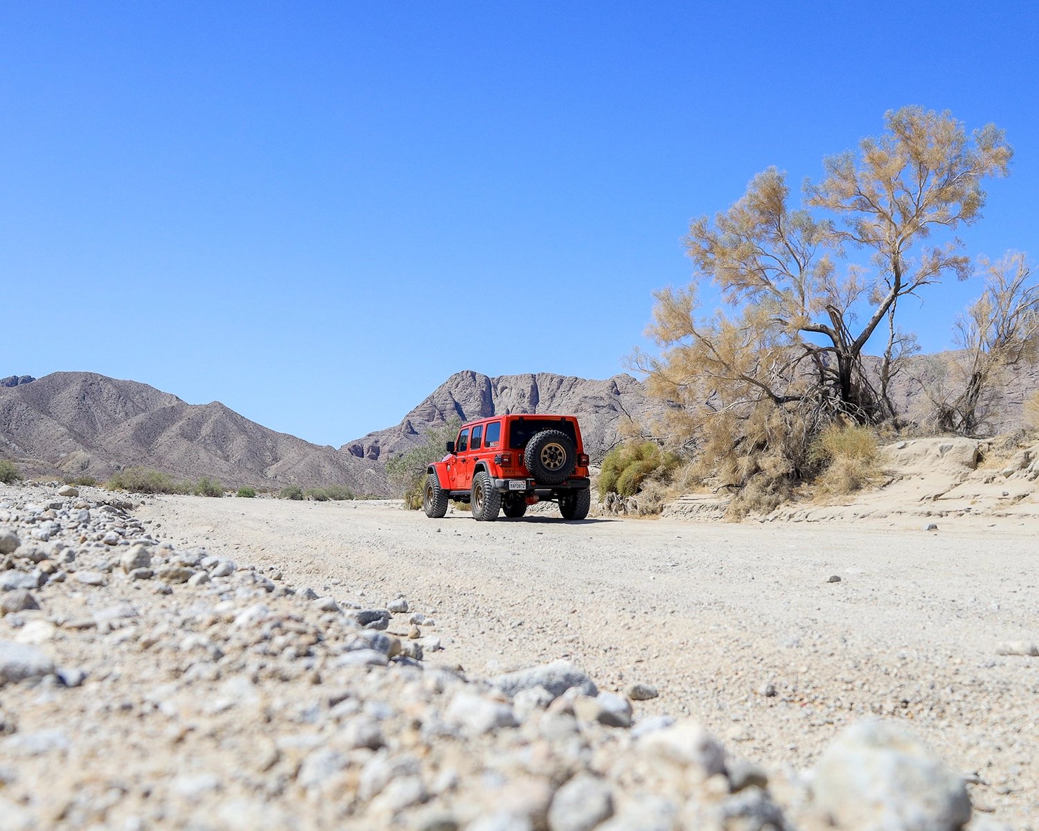 Close up of the terrain along the Fish Creek Wash trail with a red Jeep Wrangler