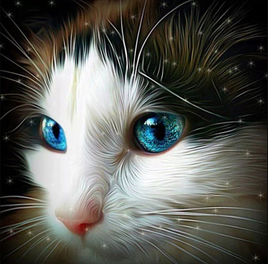 Cute White Cat with Blue Eyes – All Diamond Painting