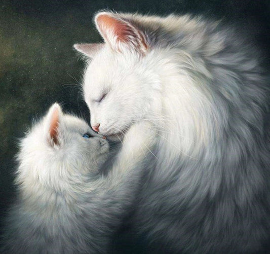 Cute White Cat with Blue Eyes – All Diamond Painting