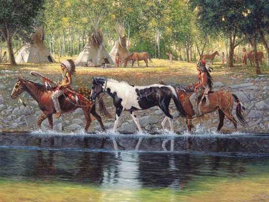 Aesthetic Native American Horse Art Diamond Painting 