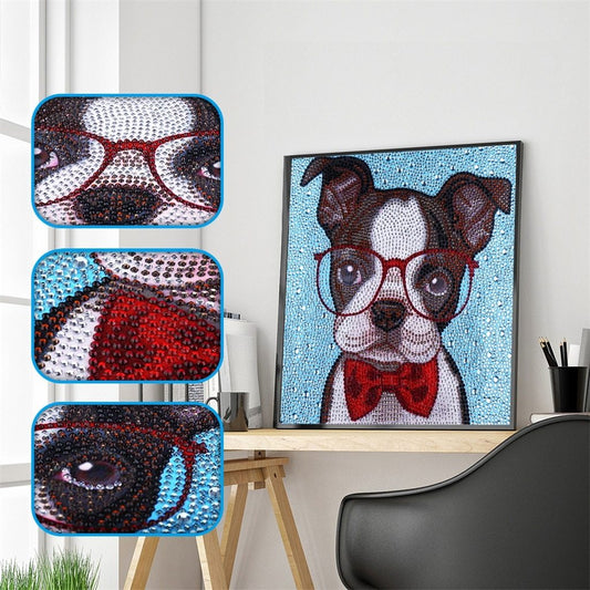 16 x 19 Hispter Boston Terrier Diamond Painting Kit - Diamond Painting - Crafts & Hobbies