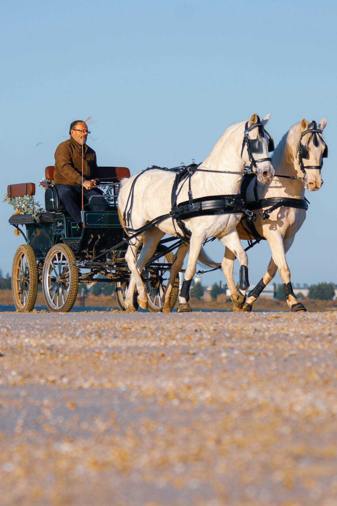 Caixa - Oferta • Jogo Cavalo em Linha + Batismo Equestre – Andar a cavalo