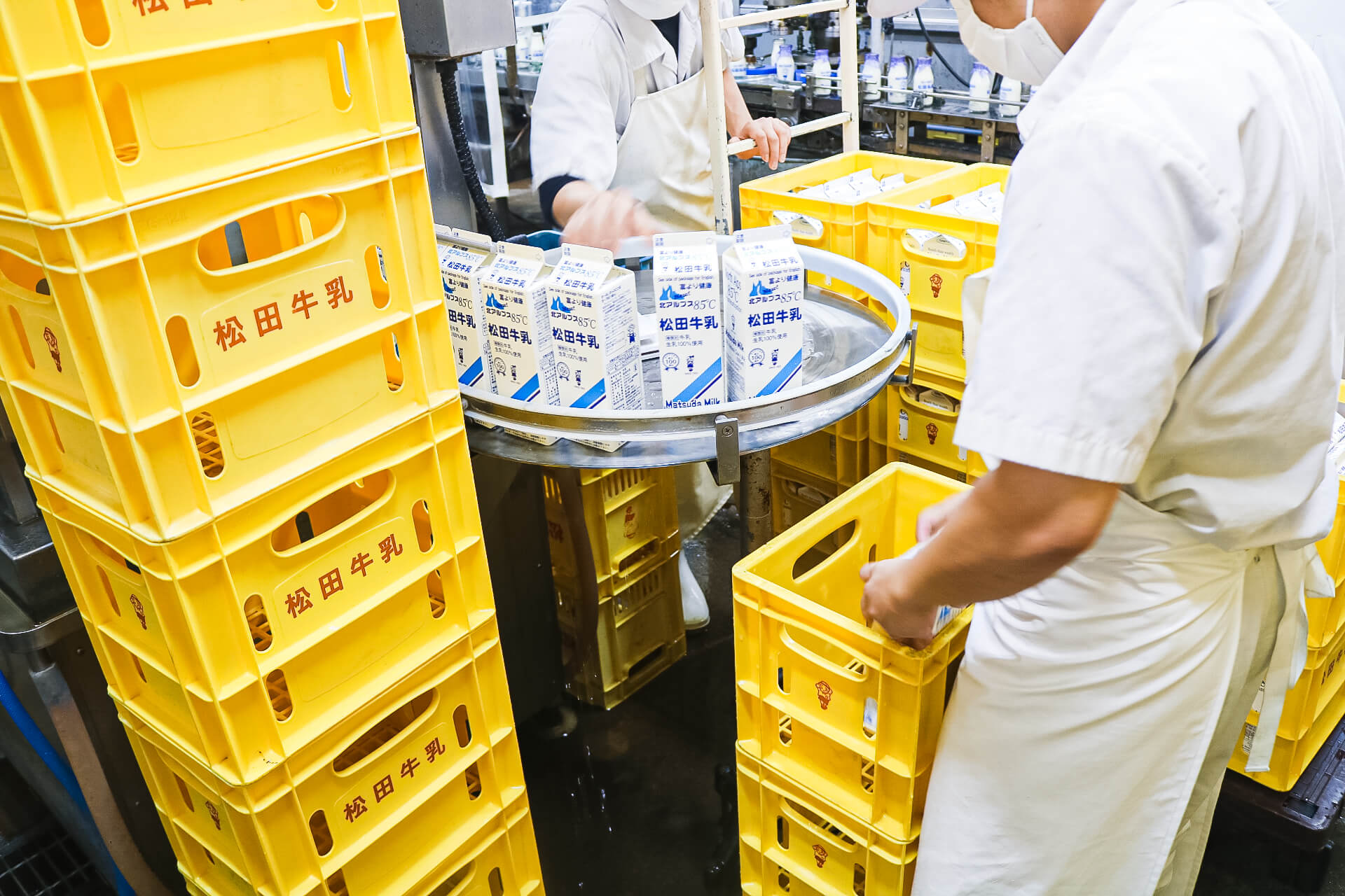松田牛乳の加工過程