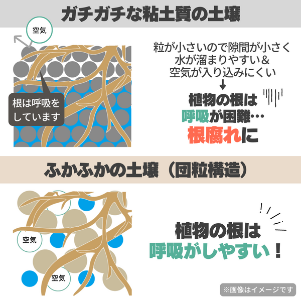 粘土質土壌とふかふかの土壌（団粒構造）