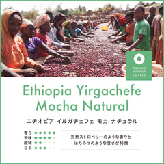 エチオピア イルガチェフェ モカ ナチュラル