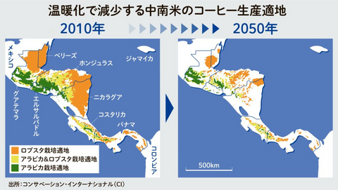 温暖化で減少する中南米のコーヒー生産適地