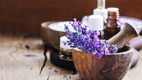 lavender essential oil