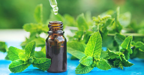 peppermint essential oil to treat nausea and motion sickness