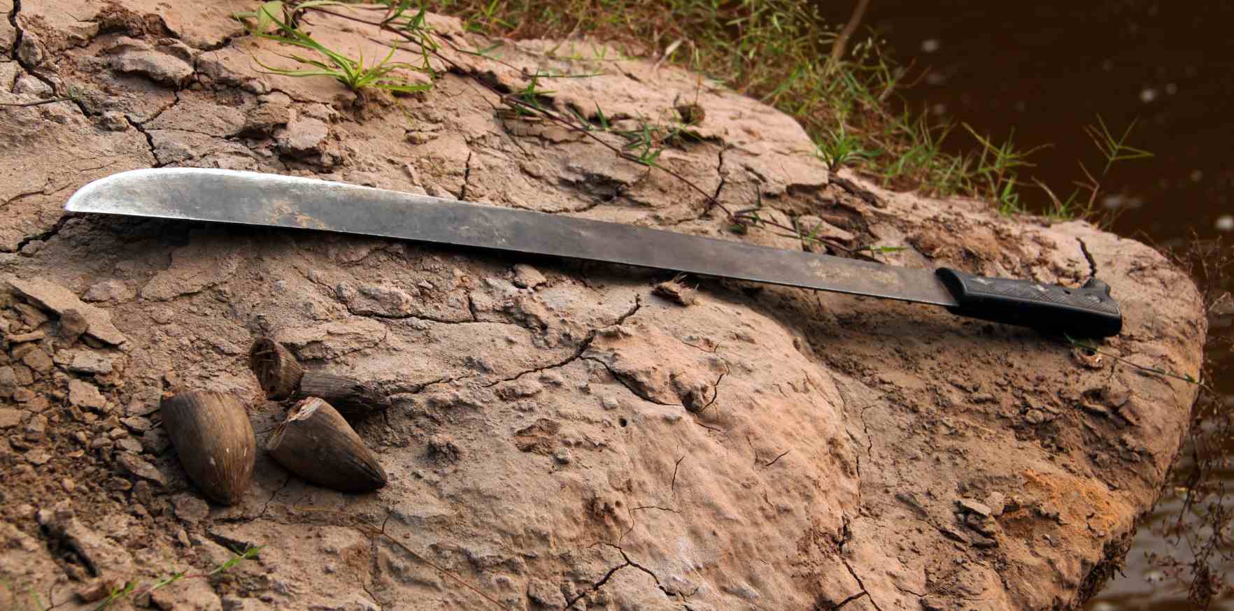 machete sword