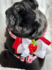 Little Pug Beatrix in Sprinkle Pups Strawberry Shortcake harness with Strawberries on Top double bow harness charm