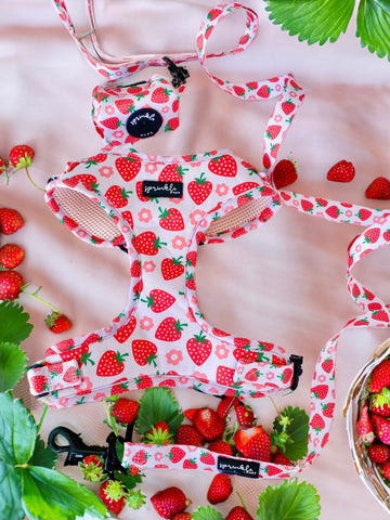 Sprinkle Pups Strawberry Shortcake Matching Adjustable Harness and Leash Set