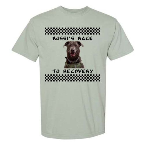 Rossi's Race to Recovery PreOrder