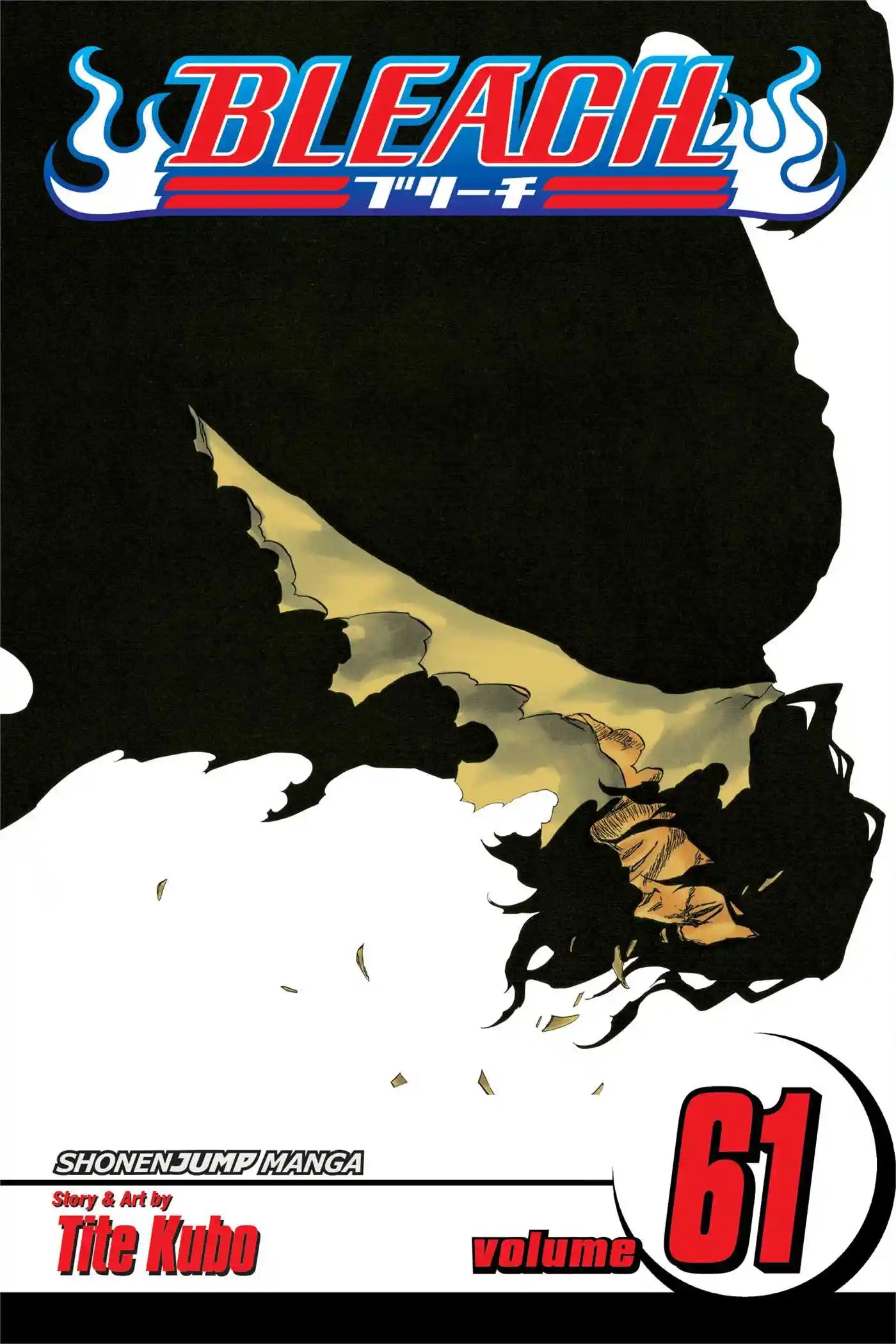 Bleach, Vol. 61 – The Final Valley