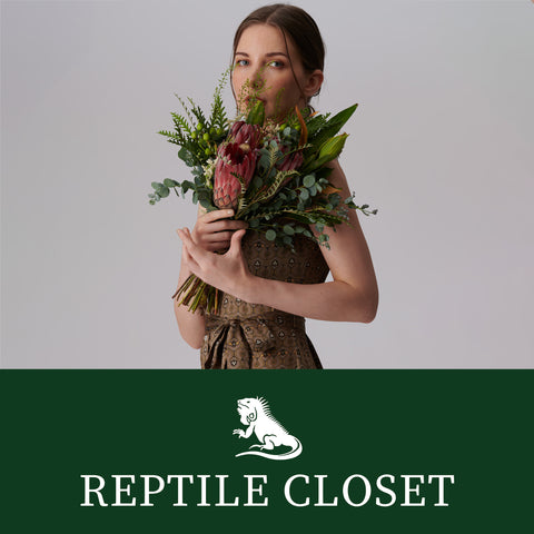 REPTILE CLOSET　イメージ画像