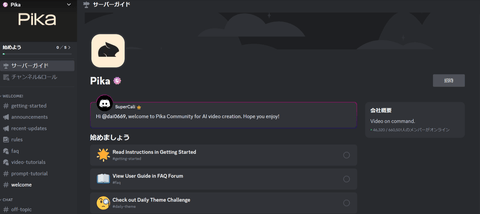 Pika Labsの使い方（Discord）3