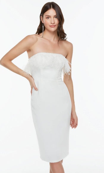 Formal Dress: 70002. Short, Strapless, Straight, Closed Back