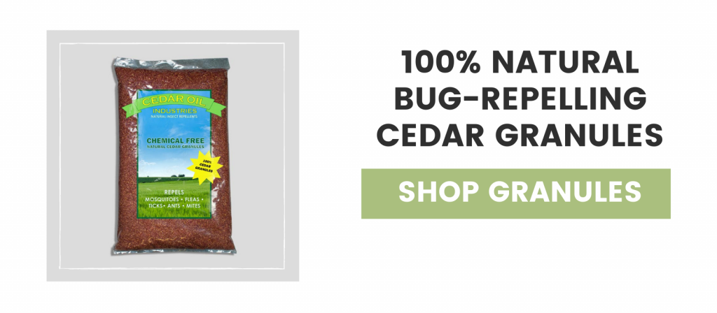 How to Get Rid of Moths: 3 Easy Steps - Cedar Oil Store