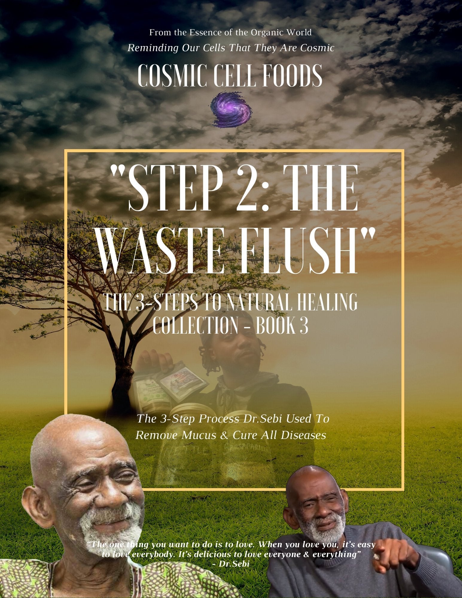 "Step 2:The Waste Flush" The 3-Steps To Healing Book Collection - BOOK 3