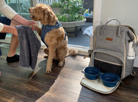 Tito with bag and accessories