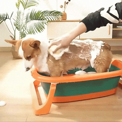 Brosse de bain massante pour chien - NOS 4 PATTES site officiel
